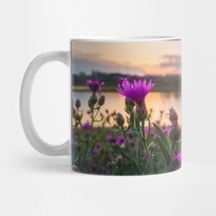 wild steppe violets Mug